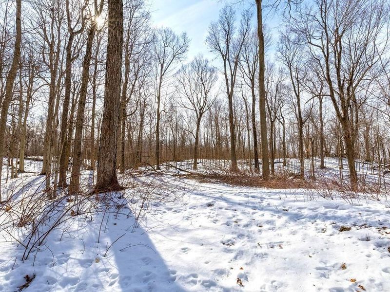 0 Eaglenest Road, Zanesfield, OH 43360 Photo 6