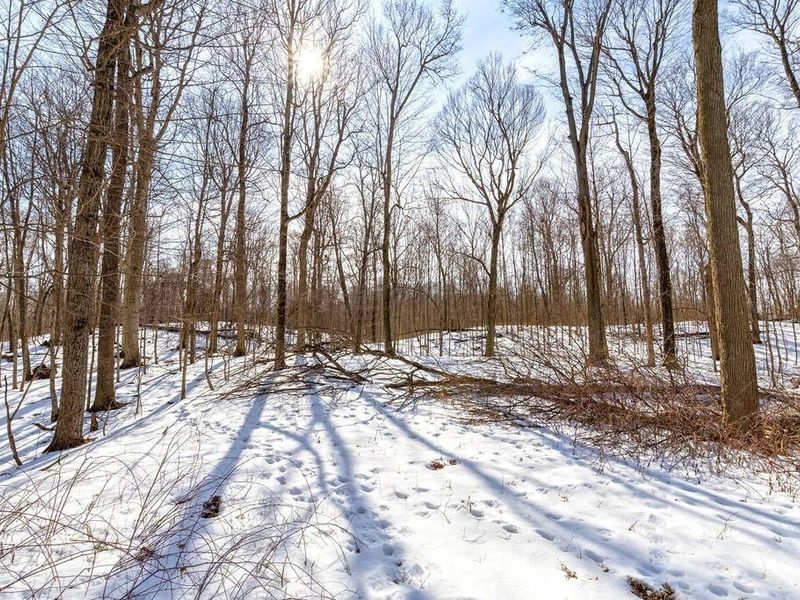 0 Eaglenest Road, Zanesfield, OH 43360 Photo 7