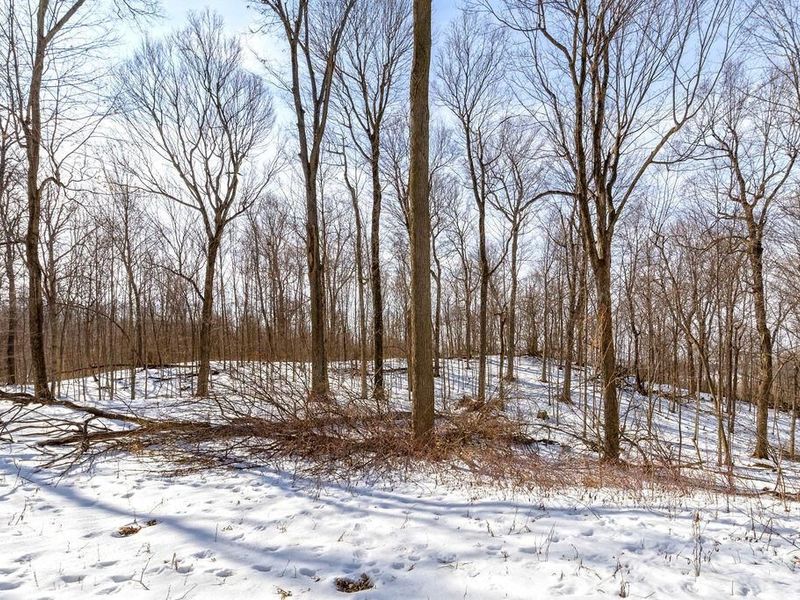 0 Eaglenest Road, Zanesfield, OH 43360 Photo 8