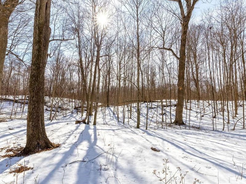 0 Eaglenest Road, Zanesfield, OH 43360 Photo 9