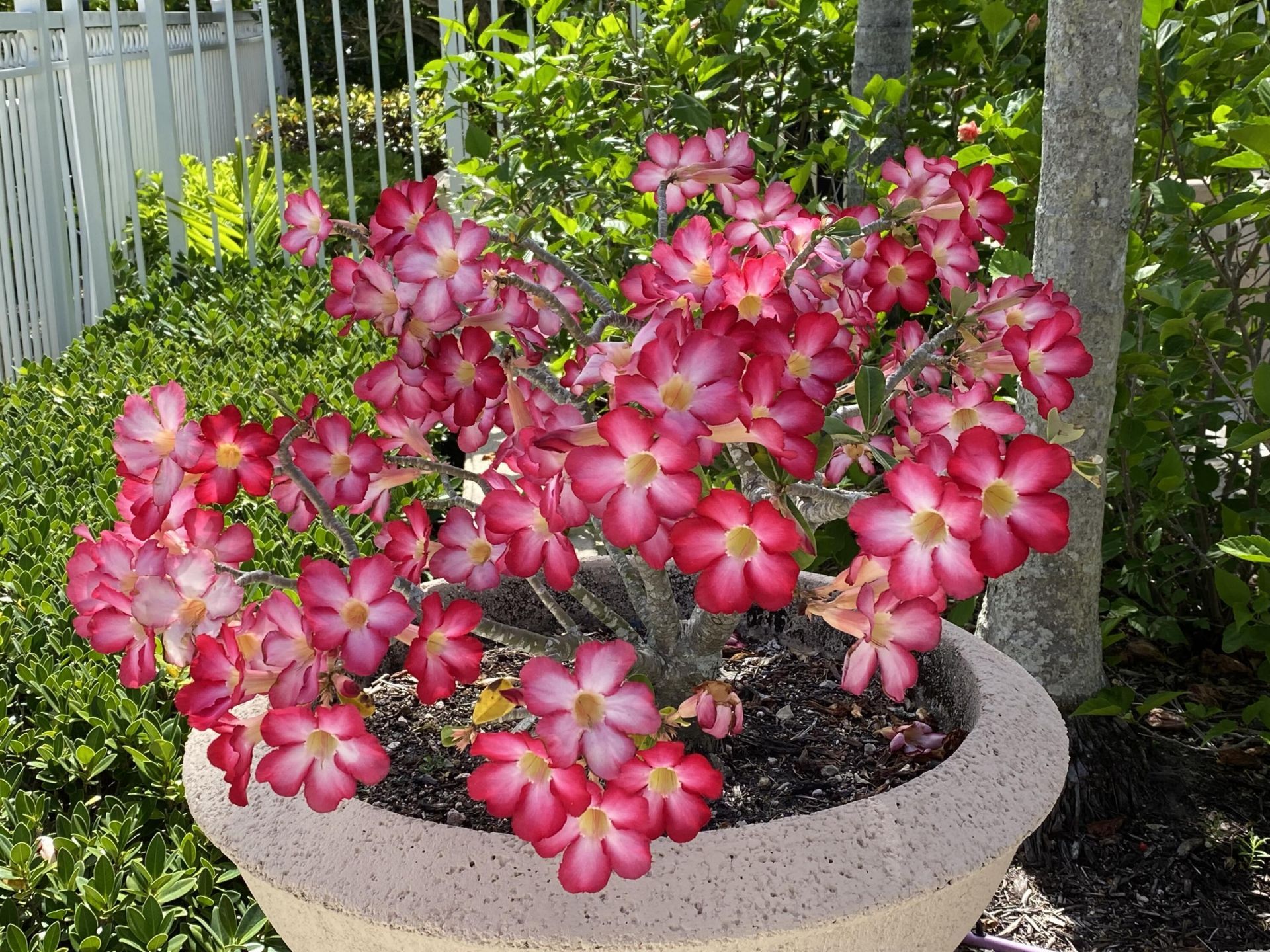 225 Murcia Drive, Unit 109, Jupiter, FL 33458 Photo