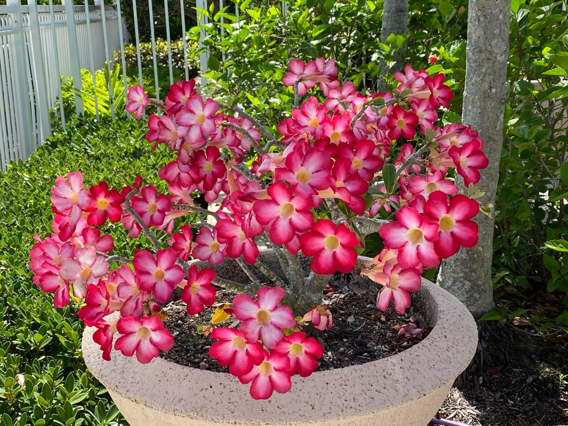 225 Murcia Drive, Unit 109, Jupiter, FL 33458 Photo