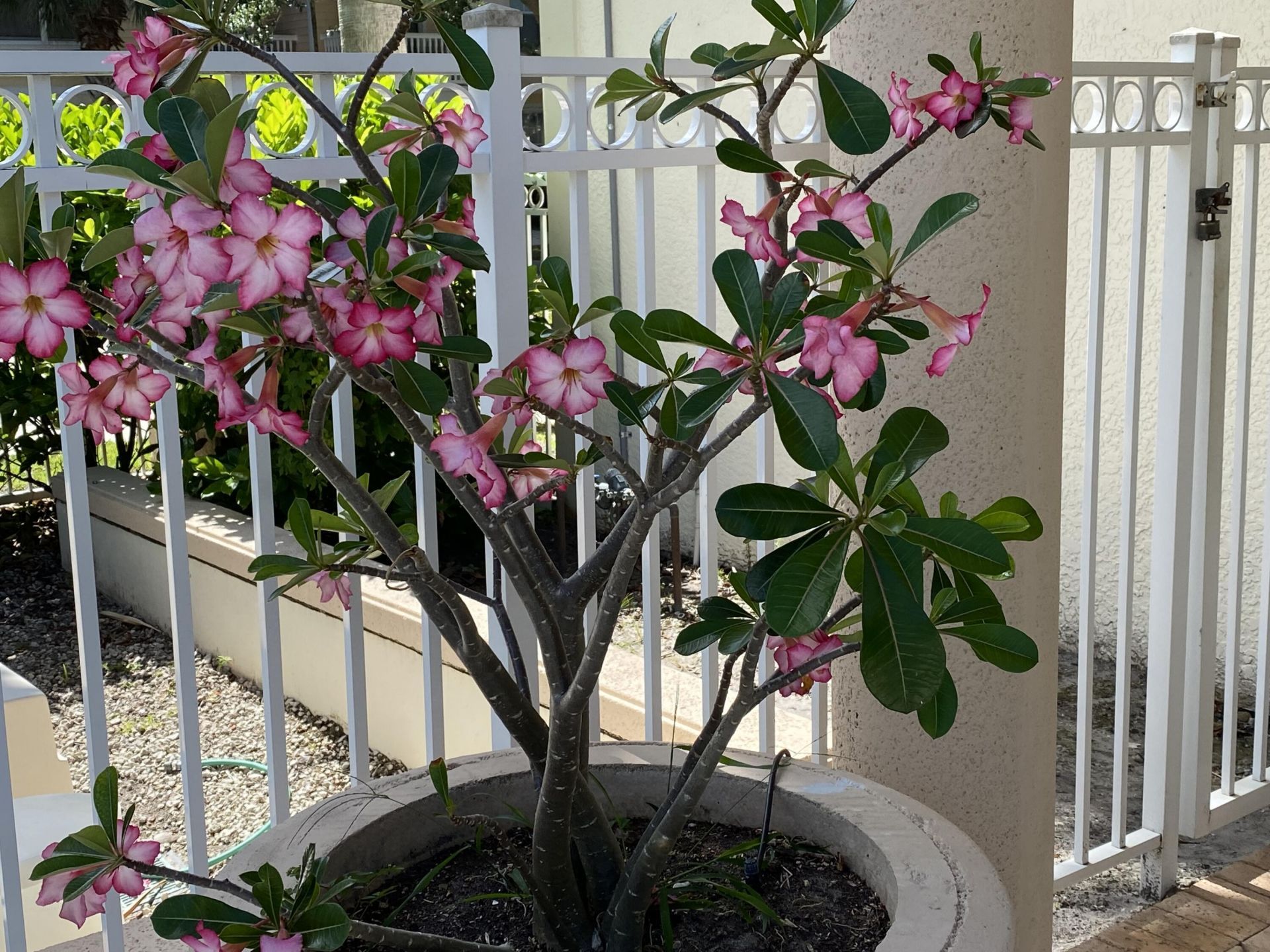 225 Murcia Drive, Unit 109, Jupiter, FL 33458 Photo