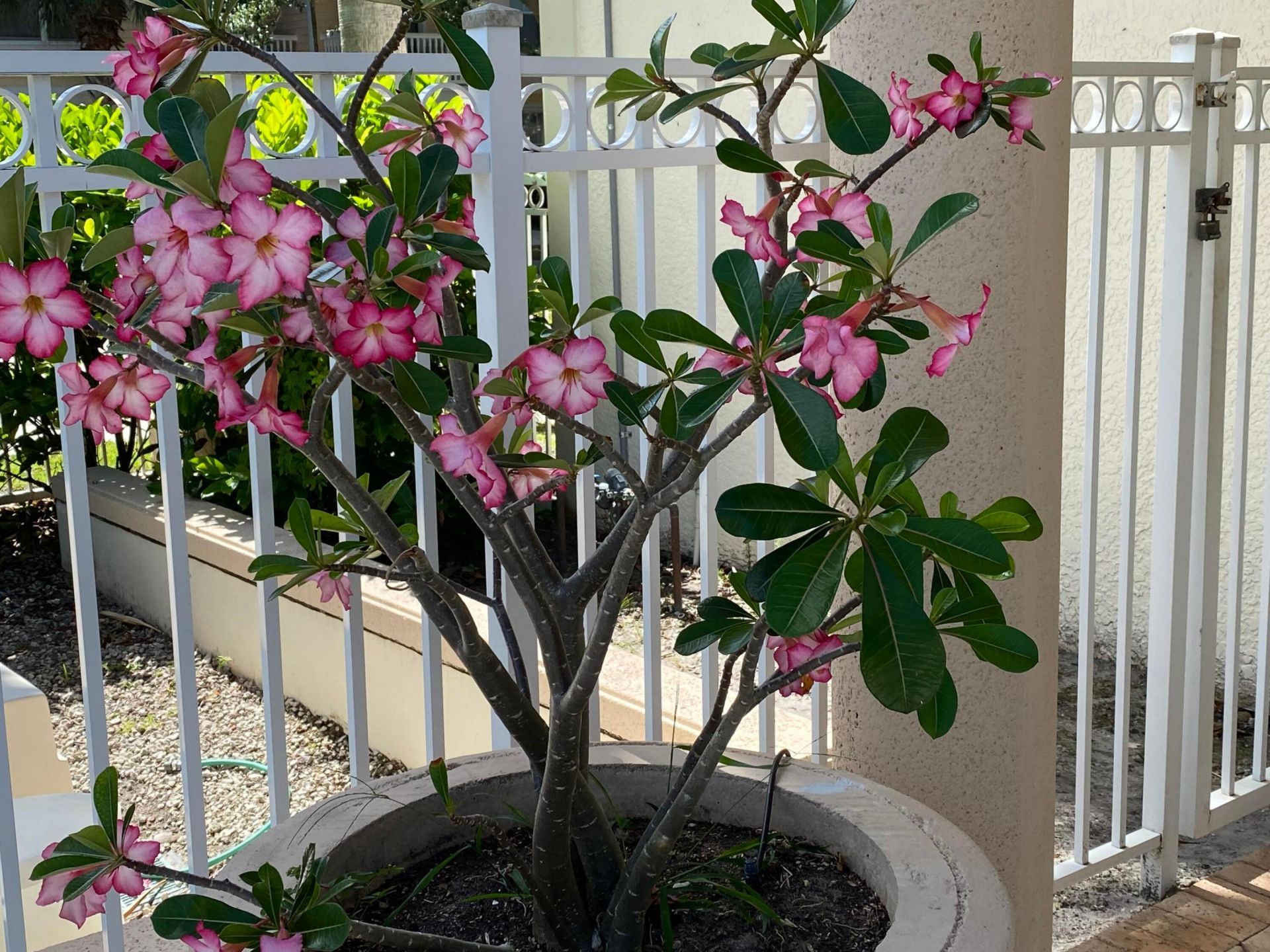 225 Murcia Drive, Unit 109, Jupiter, FL 33458 Photo