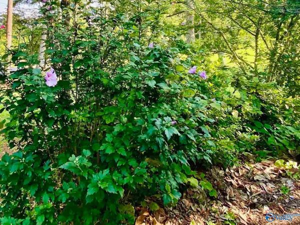 196 Space Road, Bessemer, AL 35023