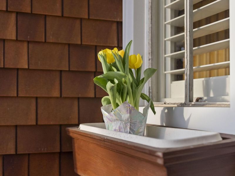 4006 Apple Valley Drive, Howard, OH 43028 Photo 66