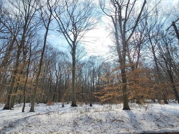 262 WHITE MARSH ROAD, CENTREVILLE, MD 21617