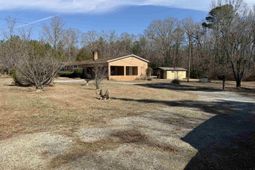 301 Amicks Ferry  photo 4