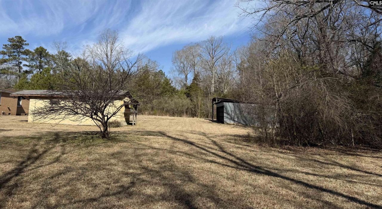 301 Amicks Ferry  Photo 5