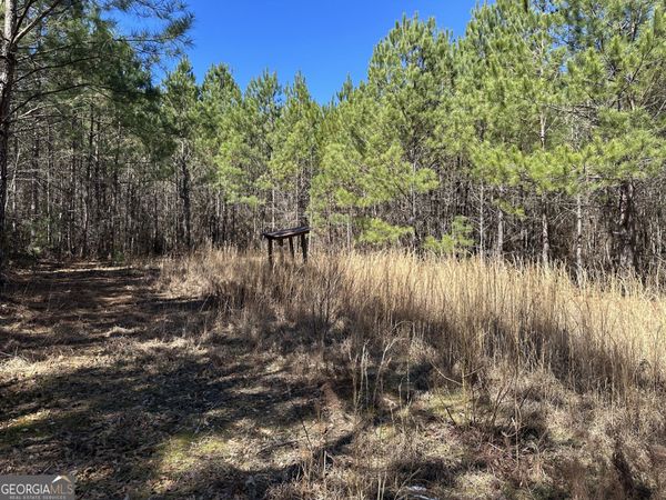 77 ACRES Roosevelt Highway, Warm Springs, GA 31830