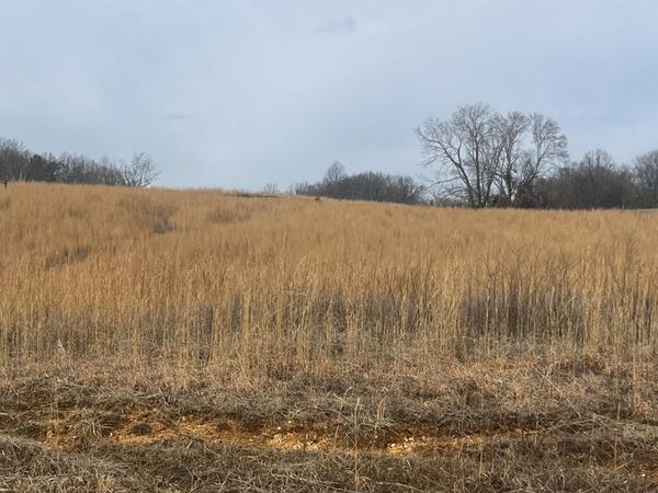 0 Hidden River Rd , Rock Island, TN 38581