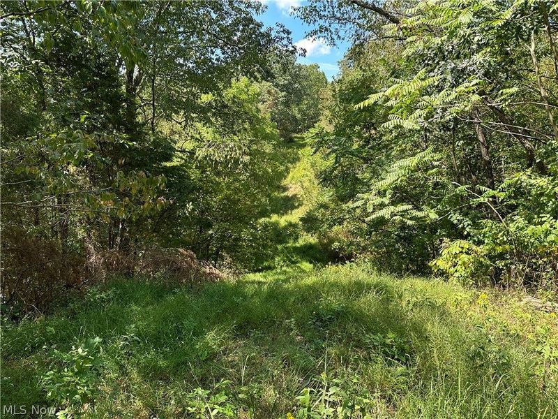 8292 State Route 60, Lowell, OH 45744 Photo 1