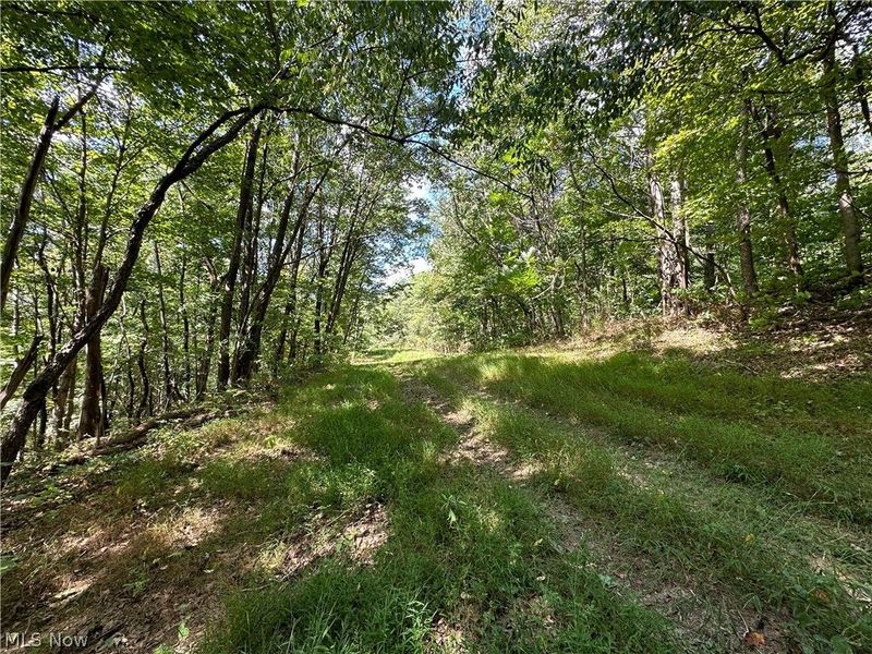 8292 State Route 60, Lowell, OH 45744 Photo 2