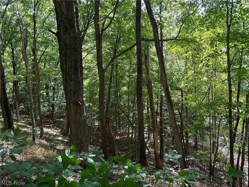 8292 State Route 60, Lowell, OH 45744 Photo 3