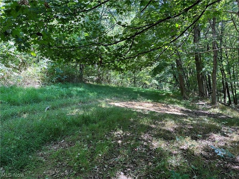 8292 State Route 60, Lowell, OH 45744 Photo 4