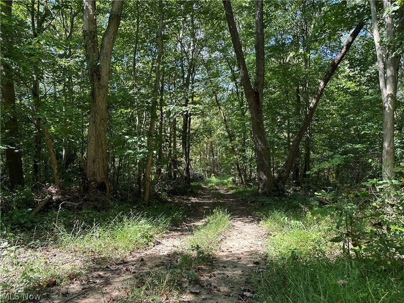 8292 State Route 60, Lowell, OH 45744 Photo 5