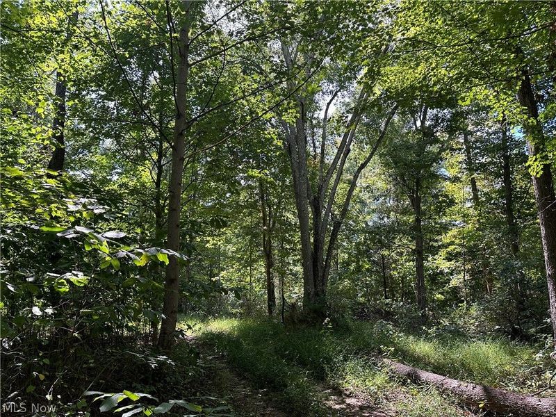 8292 State Route 60, Lowell, OH 45744 Photo 6