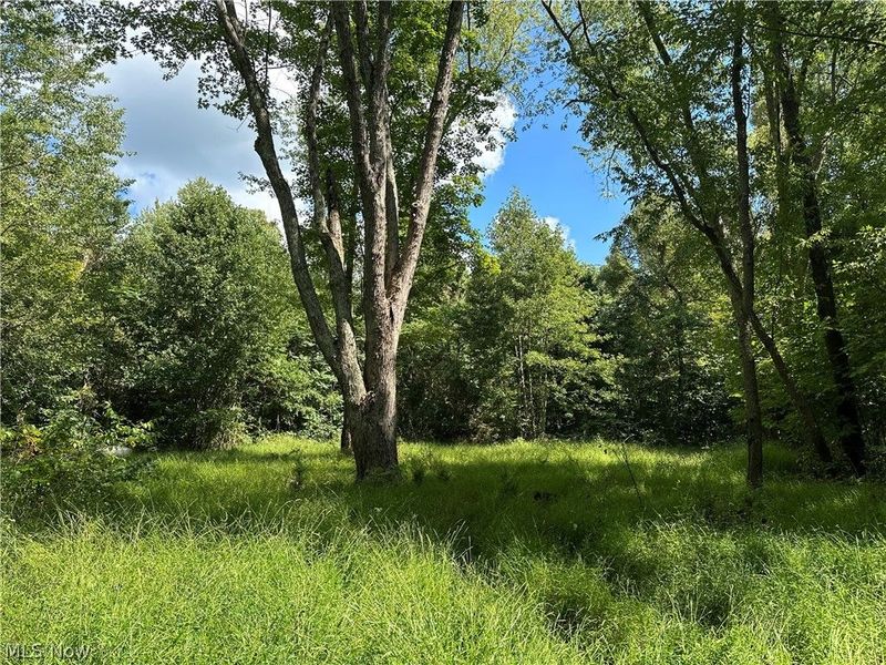 8292 State Route 60, Lowell, OH 45744 Photo 7