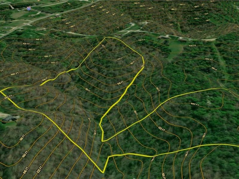 8292 State Route 60, Lowell, OH 45744 Photo 9