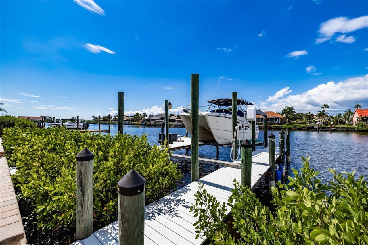 917 Chipaway Drive, Apollo Beach, FL 33572 Photo
