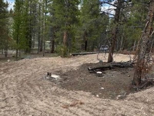 123 Lodgepole Drive , Leadville, CO 80461