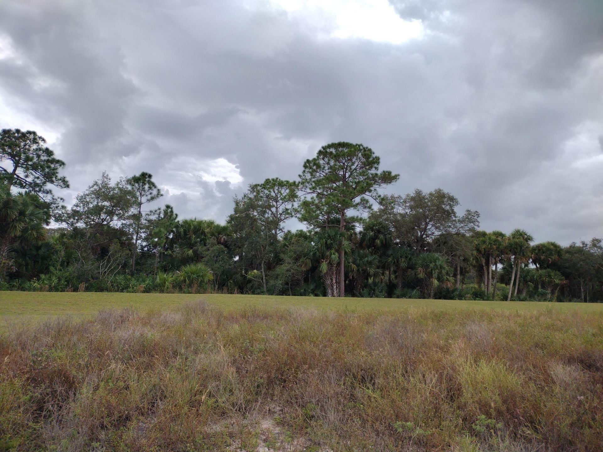 10124 SW Hemingway Terrace, Palm City, FL 34990 Photo