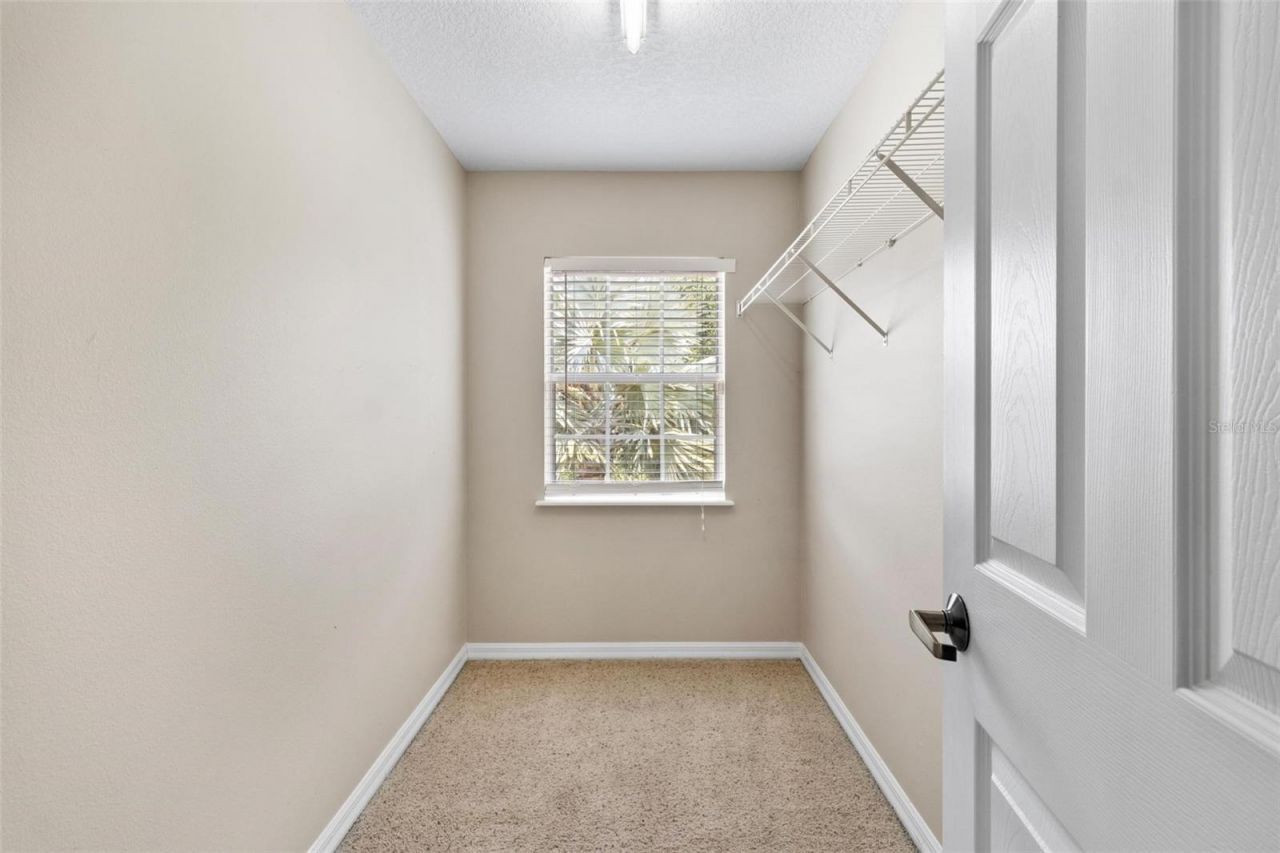 6407 E 112th Avenue, Temple Terrace, FL 33617 Photo