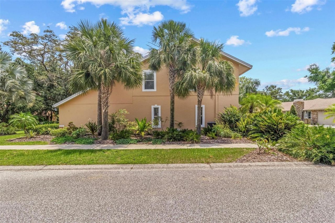 6407 E 112th Avenue, Temple Terrace, FL 33617 Photo