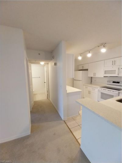 8950 Colonnades Ct E, Unit 824, Bonita Springs, FL 34135 Photo