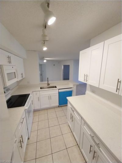 8950 Colonnades Ct E, Unit 824, Bonita Springs, FL 34135 Photo