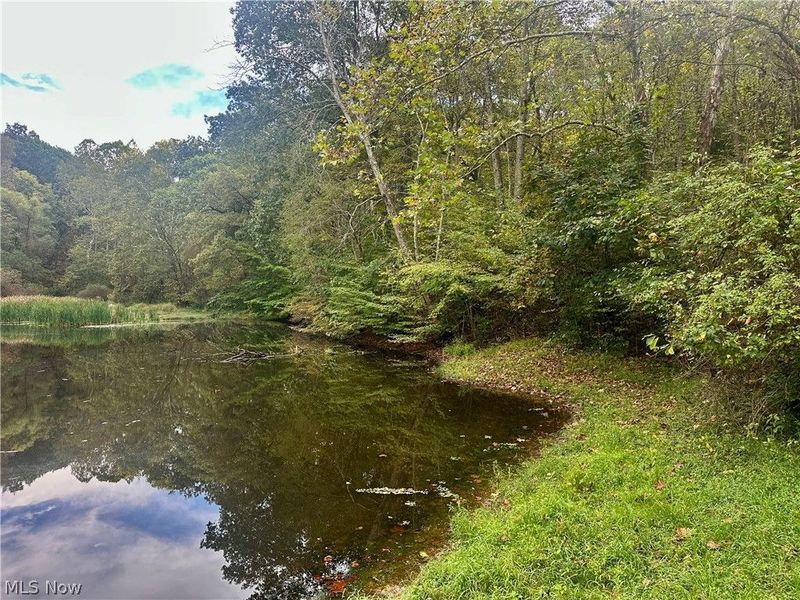 0 Tadpole Run Rd, Marietta, OH 45750 Photo 10