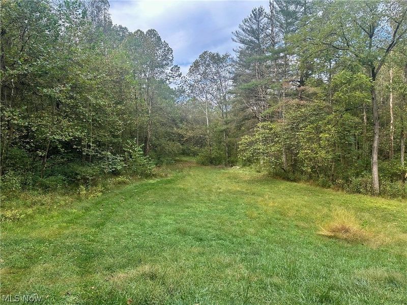 0 Tadpole Run Rd, Marietta, OH 45750 Photo 11