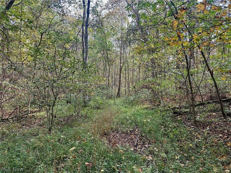 0 Tadpole Run Rd, Marietta, OH 45750 Photo 14