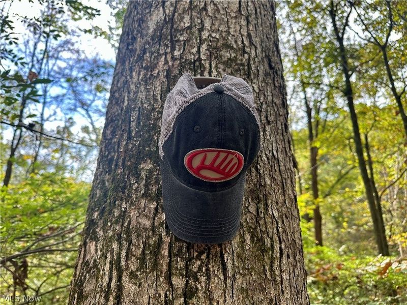 0 Tadpole Run Rd, Marietta, OH 45750 Photo 15