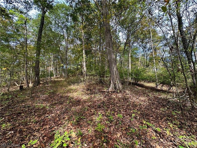 0 Tadpole Run Rd, Marietta, OH 45750 Photo 17