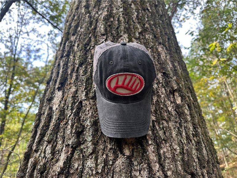 0 Tadpole Run Rd, Marietta, OH 45750 Photo 18