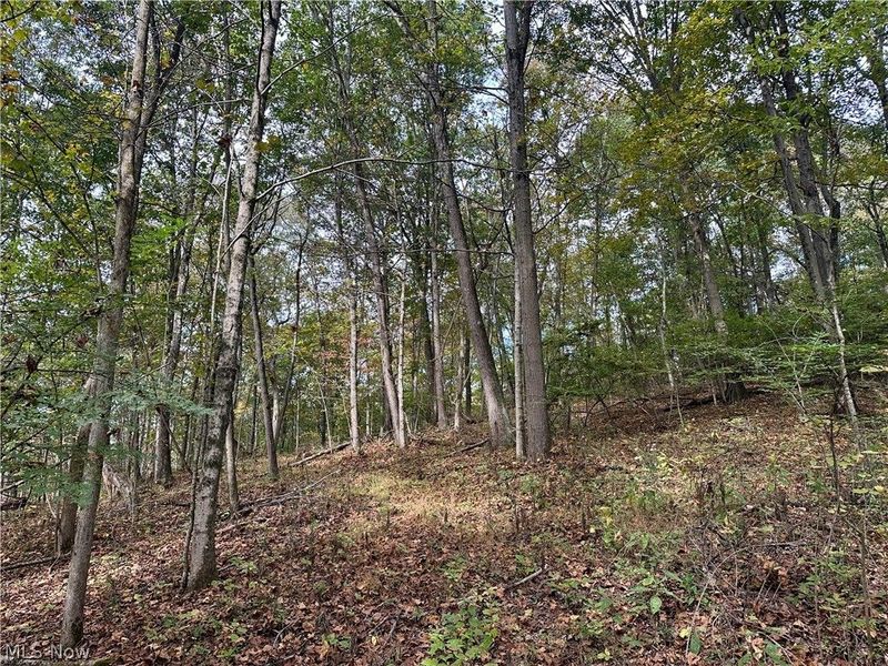 0 Tadpole Run Rd, Marietta, OH 45750 Photo 19