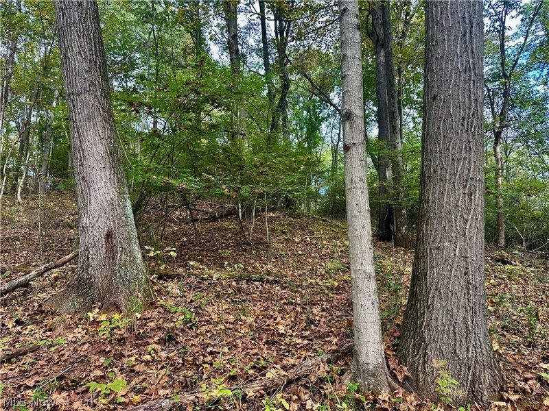 0 Tadpole Run Rd, Marietta, OH 45750 Photo 20