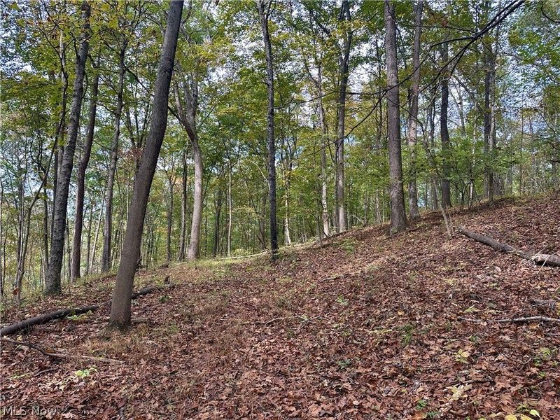 0 Tadpole Run Rd, Marietta, OH 45750 Photo 21