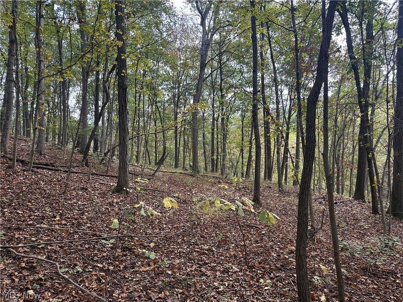 0 Tadpole Run Rd, Marietta, OH 45750 Photo 25