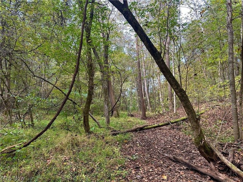 0 Tadpole Run Rd, Marietta, OH 45750 Photo 27