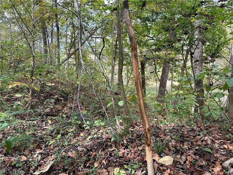 0 Tadpole Run Rd, Marietta, OH 45750 Photo 5