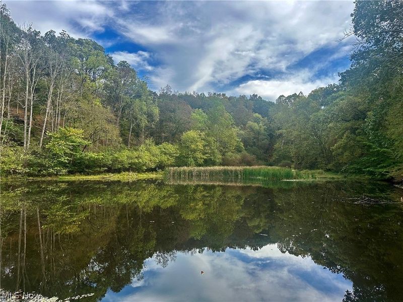 0 Tadpole Run Rd, Marietta, OH 45750 Photo 9