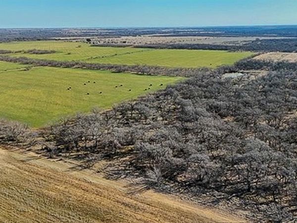 454 County Road 196, Gorman, TX 76454