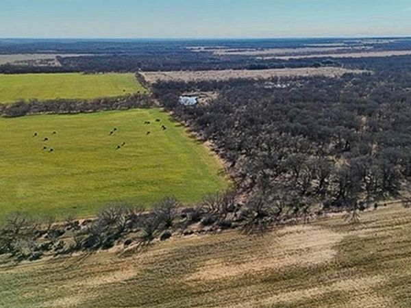 454 County Road 196, Gorman, TX 76454