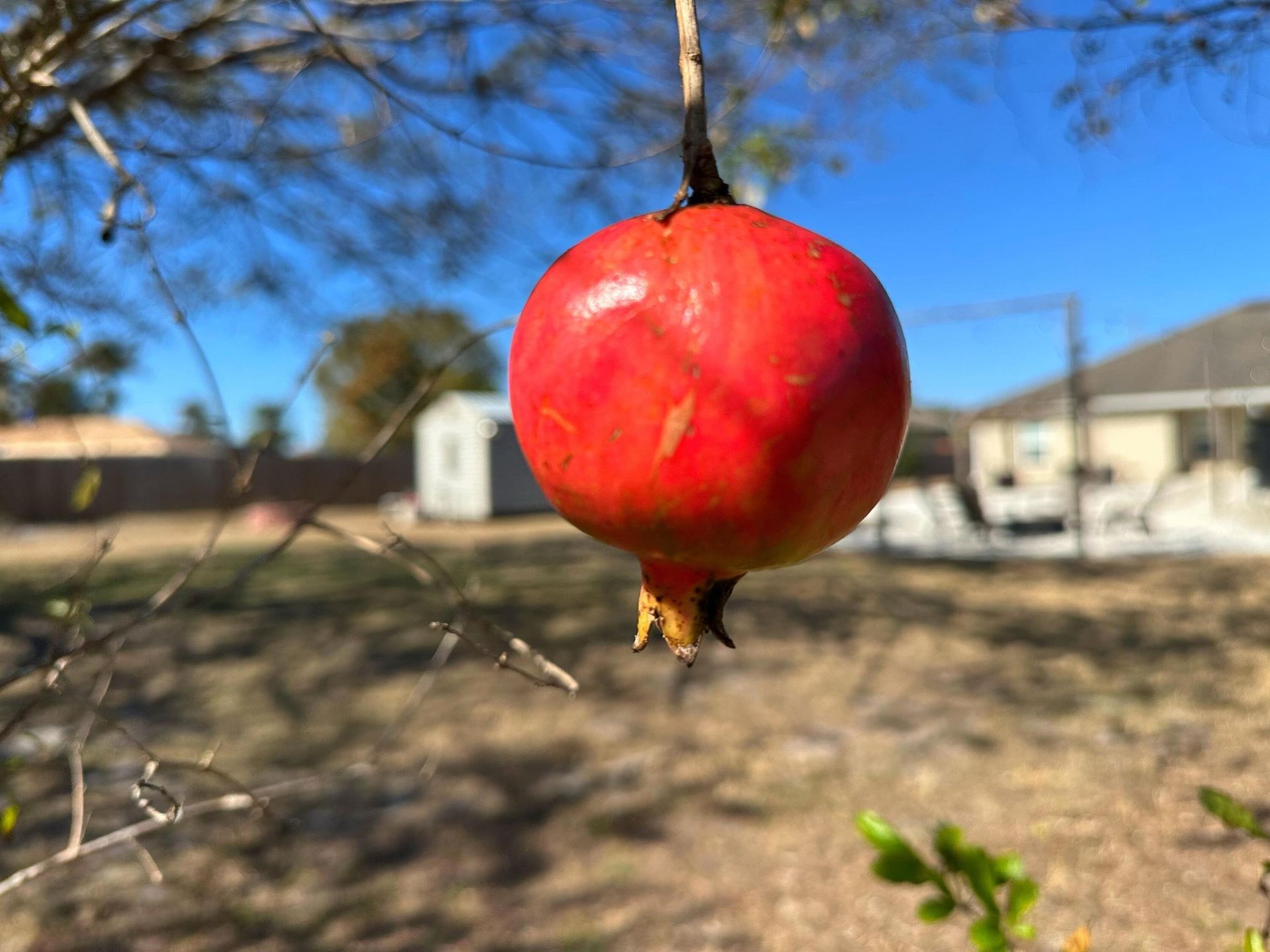 4299 SW Mccrory Street, Port Saint Lucie, FL 34953 Photo