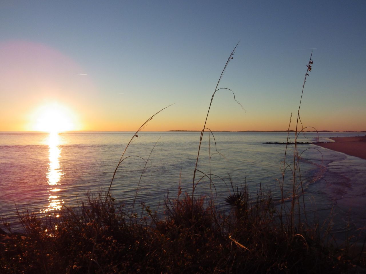 3516 Myrtle Street Photo 57