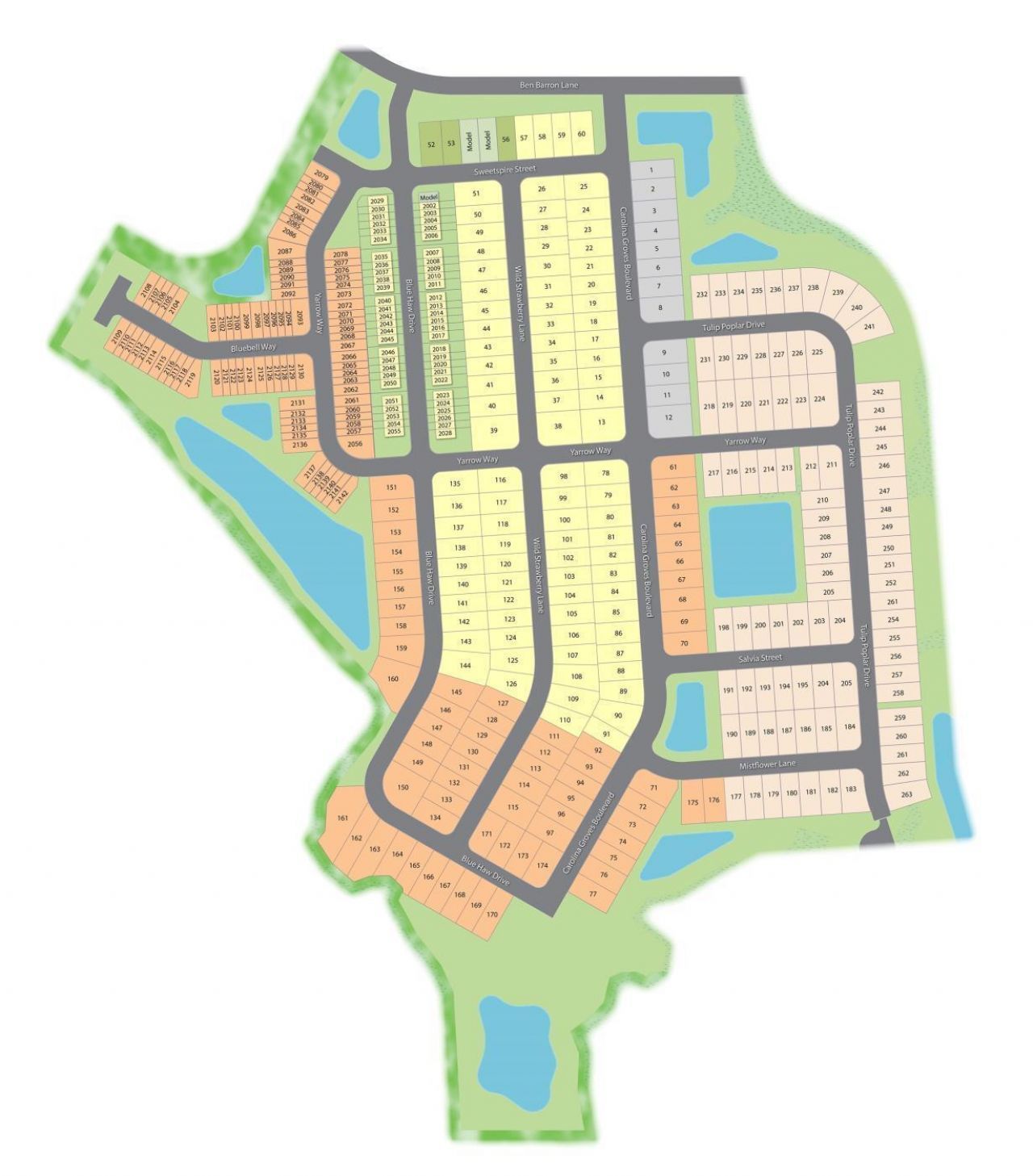 406 Tulip Poplar Drive Photo 24