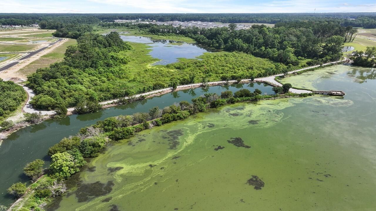 410 Tulip Poplar Drive Photo 18