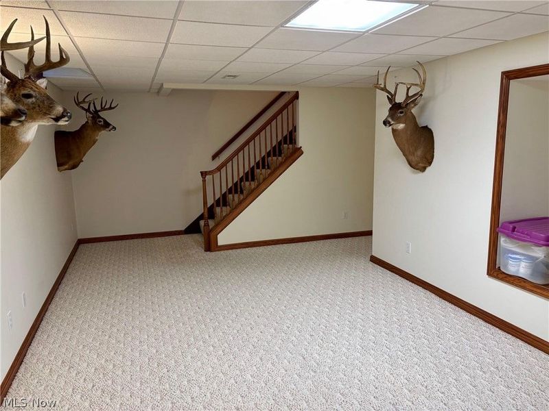 1474 N Honeytown Road, Wooster, OH 44691 Photo 42